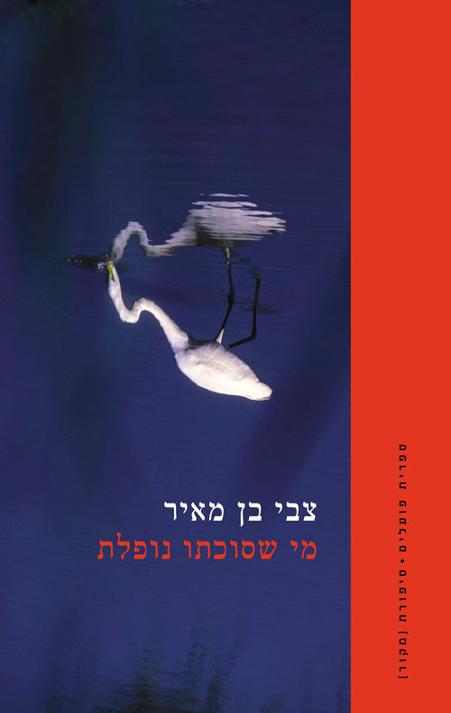 מי שסוכתו נופלת - צבי בן מאיר