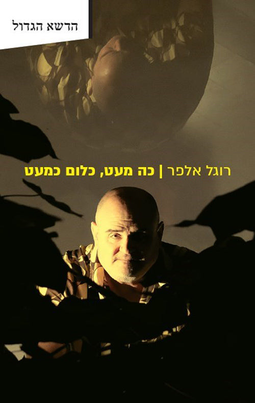 כה מעט, כלום כמעט - רוגל אלפר