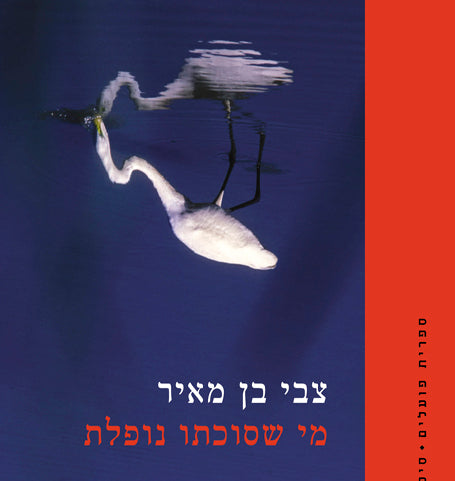 מי שסוכתו נופלת - צבי בן מאיר