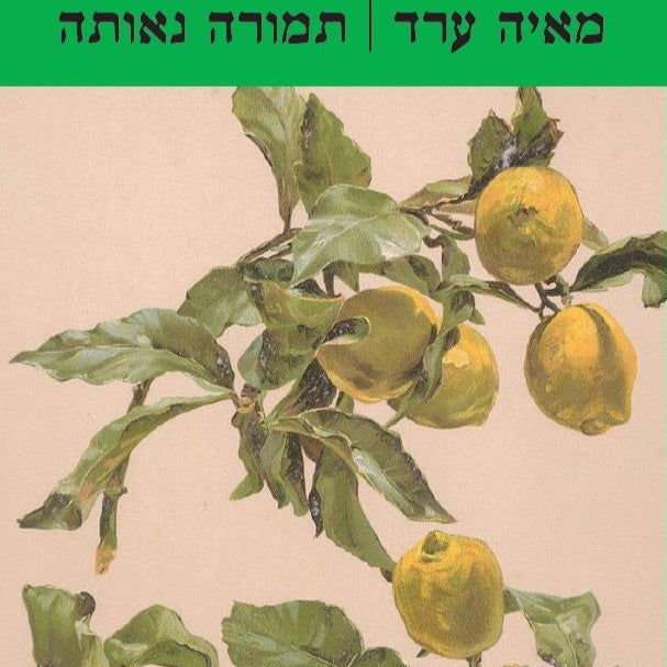 תמורה נאותה - מאיה ערד