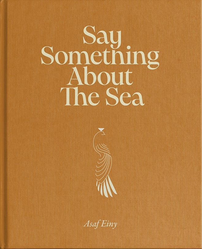 Say Something About the Sea - אסף עיני Asaf Einy