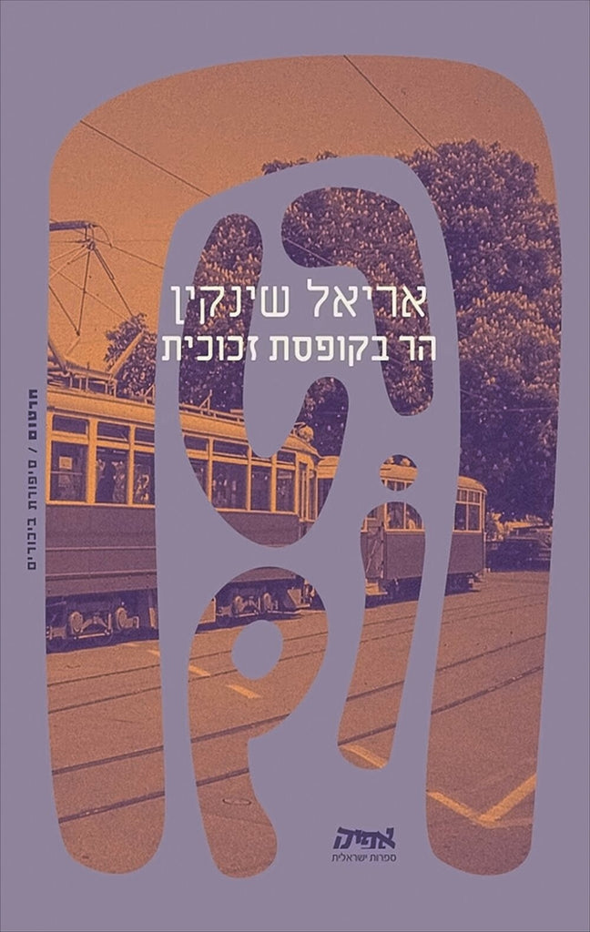 הר בקופסת זכוכית - אריאל שינקין